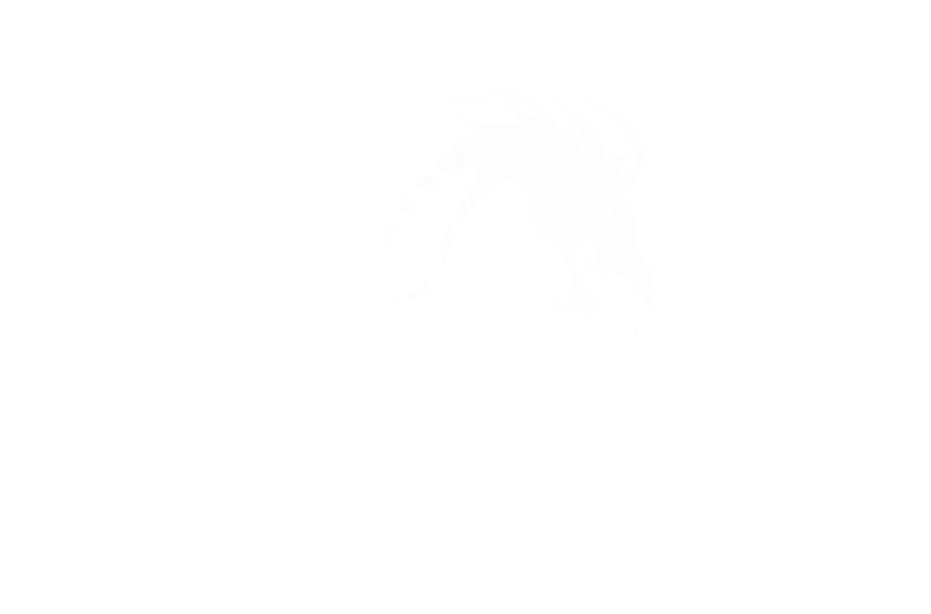 SinoSud Logo